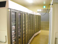 �ۉ����z�V��