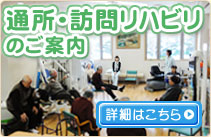 �ʏ��E�K�⃊�n�r���ɂ��Ă̂��ē�