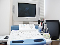 �G�R�[���u�̎ʐ^