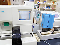 ���������v�����u�̎ʐ^