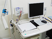 �]�g�v�̎ʐ^