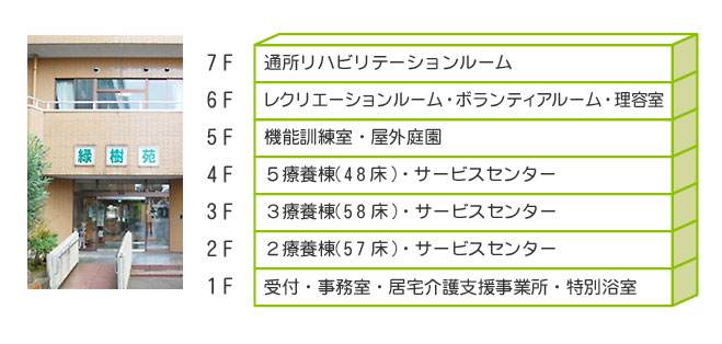 �Ύ��� �S�̐}